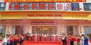 维也纳国际酒店(武冈店)隆重开业，华丽装修首曝光--五星服务，二星消费