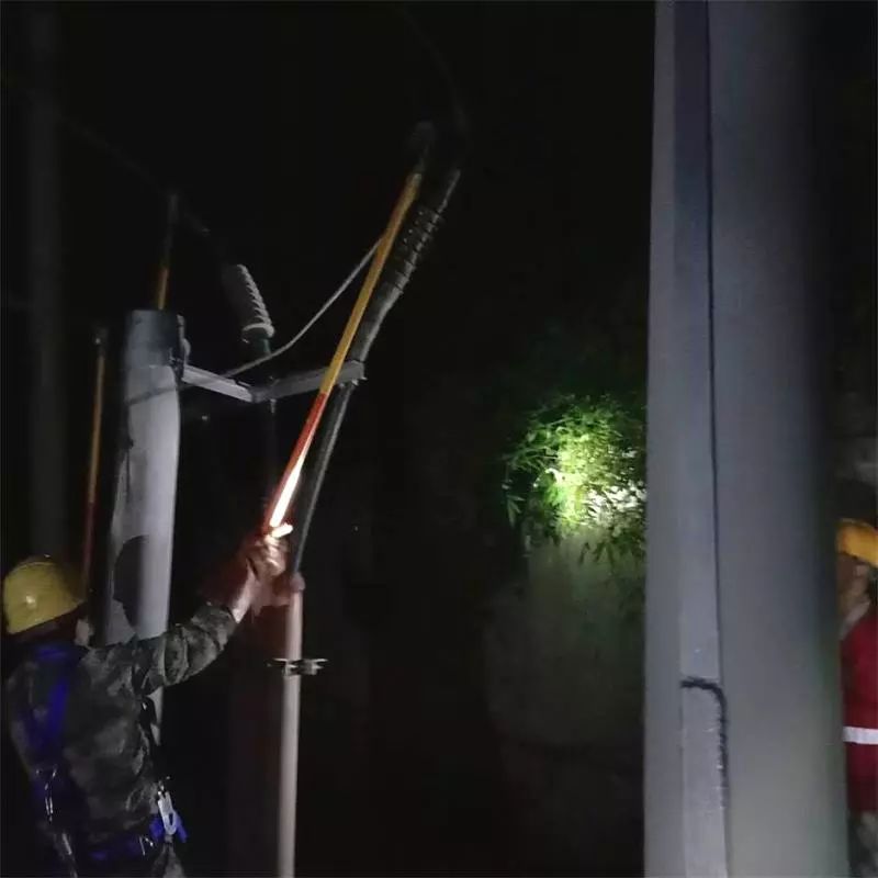 曝光！武岡這群人三更半夜竟在干這種事！