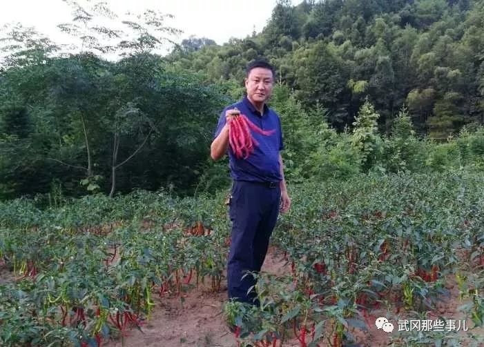 武岡鄧家鋪鎮(zhèn)長(zhǎng)公開(kāi)賣辣椒！