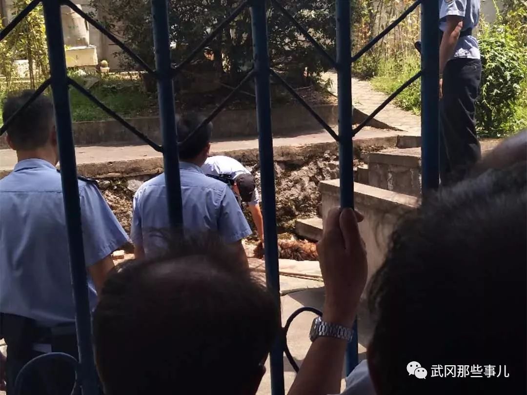 武岡瘋狗又咬人,被警方擊斃!