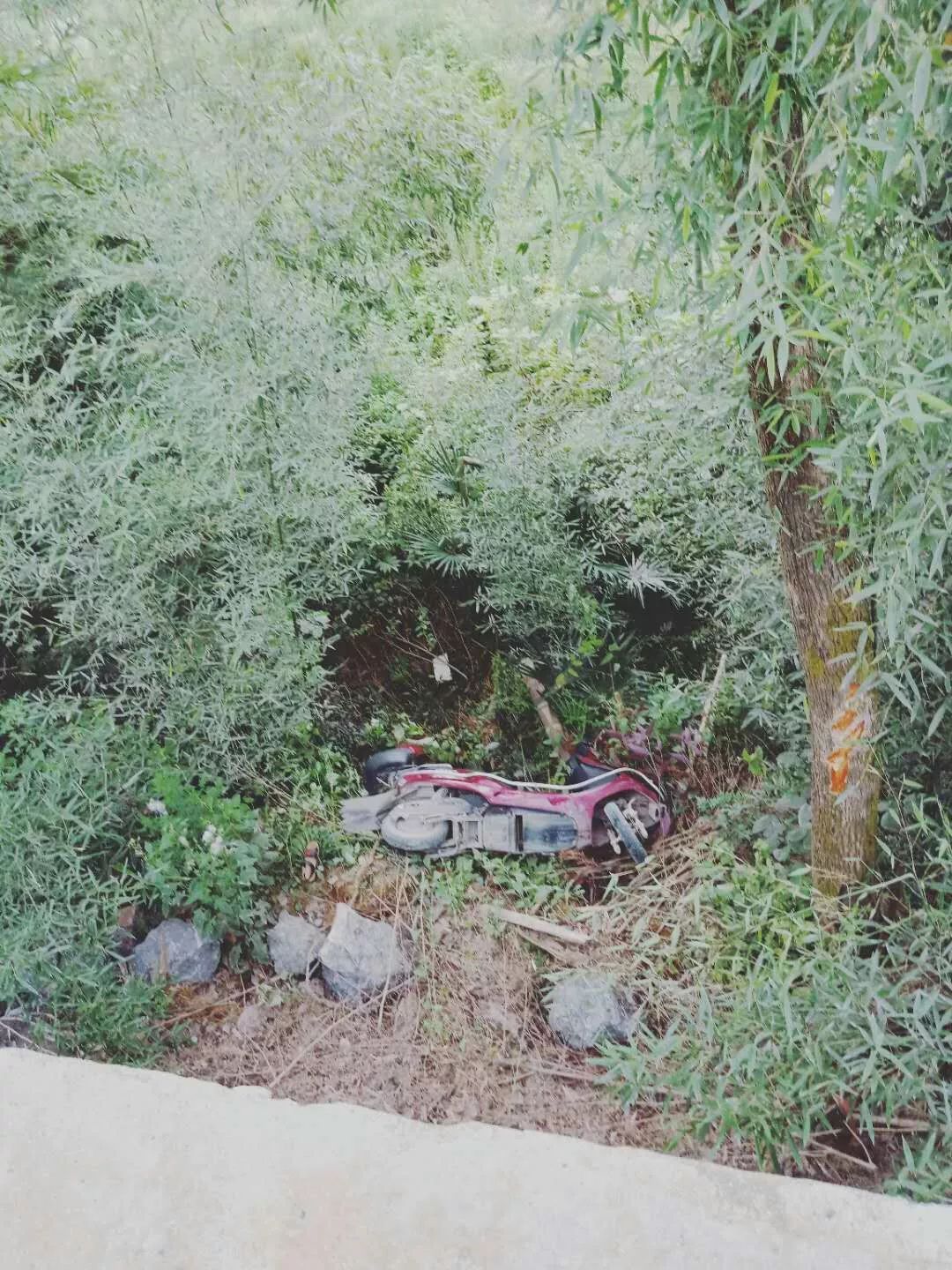 武岡摩托車又出事！一名婦女當(dāng)場死亡！