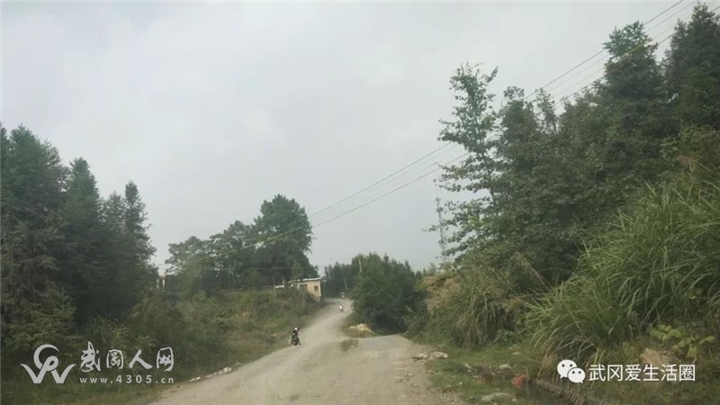 武岡文坪一條村道,爛了好多年了,怎么都無人過問?