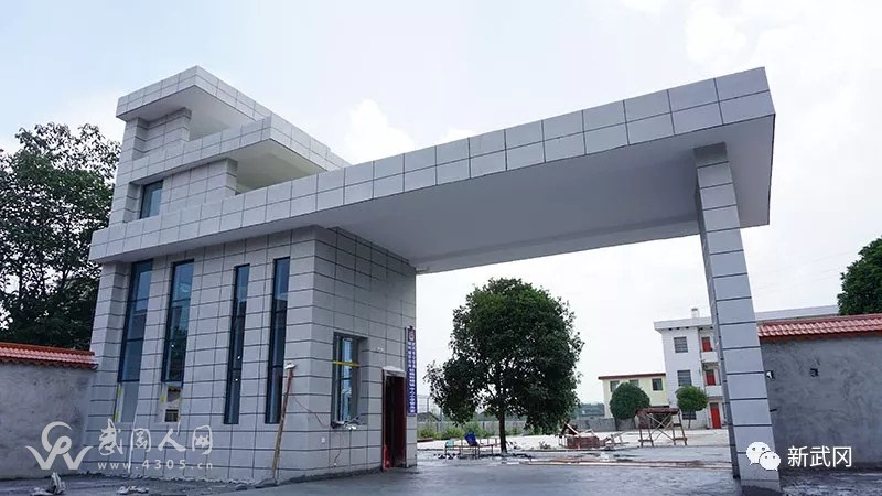 厲害了|武岡這個(gè)中心小學(xué),連續(xù)五年綜合評(píng)價(jià)第一名!