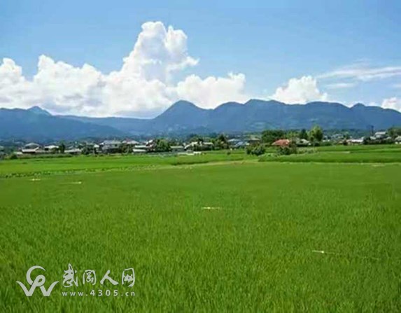 武岡農(nóng)村這些費(fèi)用全免了,村干部再上門收,請(qǐng)馬上舉報(bào)!