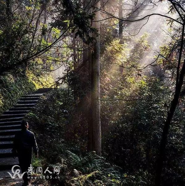 武岡全市范圍實(shí)施封山育林五年，三年累計(jì)造林10萬畝！