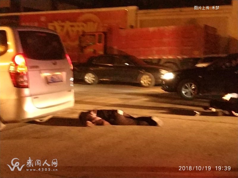 突發(fā)!武岡百姓廣場旁車禍
