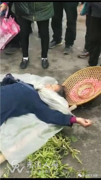 武岡誰家的“熊”孩子？差點要了老人的命！