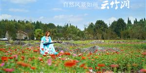 美爆了！武冈云竹涧惊现大片花海，还有山洞石林！现在门票只要10元！