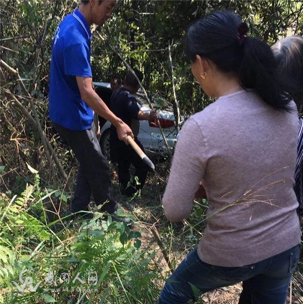武岡這里發(fā)生車禍，一輛小車沖出路面！樹都撞斷了..