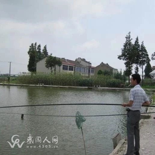 武岡這條路邊開了個(gè)釣魚場,因這事被人舉報(bào),最后...