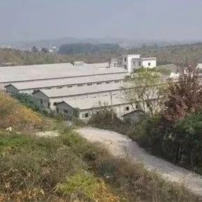 武岡鄧元泰這家企業(yè)每年虧300萬，誰知道3年后竟然...