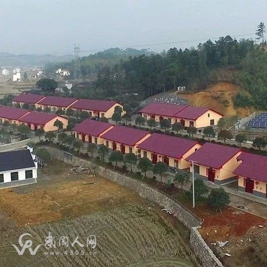 武岡市長唐克儉實地調(diào)研走訪扶貧和信仿工作