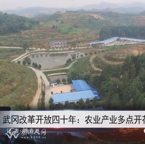 盤點武岡改革開放四十年，農(nóng)業(yè)究竟發(fā)展到什么程度了？