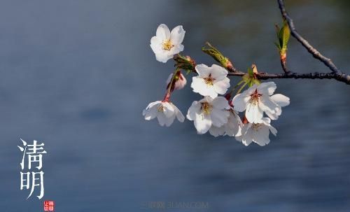 清明节思念己故母亲