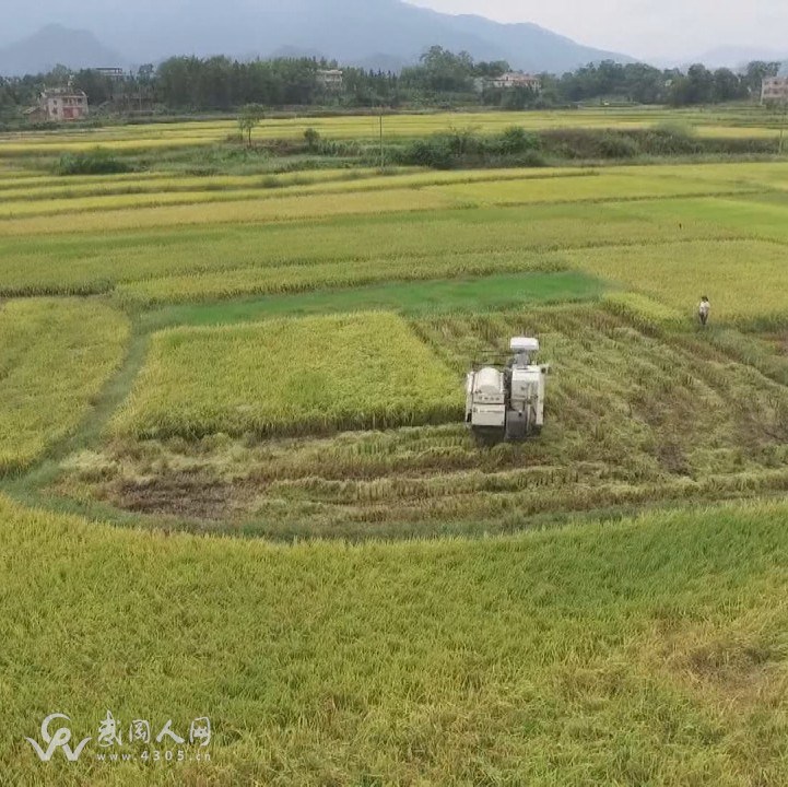 武岡市積極構(gòu)建新型農(nóng)業(yè)經(jīng)營體系