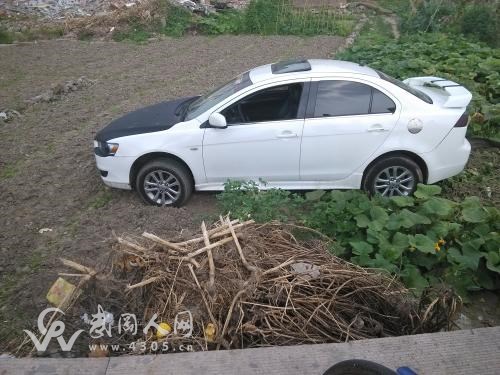 武岡這個(gè)開車的厲害，都開到田里去了！