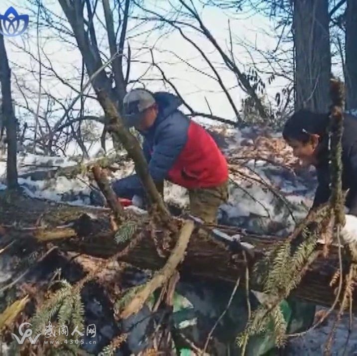緊急！武岡電視臺云山上的鐵塔電線凍住了！