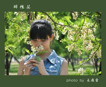 槐花8.jpg