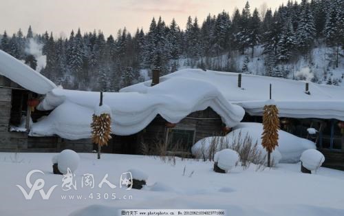 武岡雪景簡(jiǎn)直美哭了！