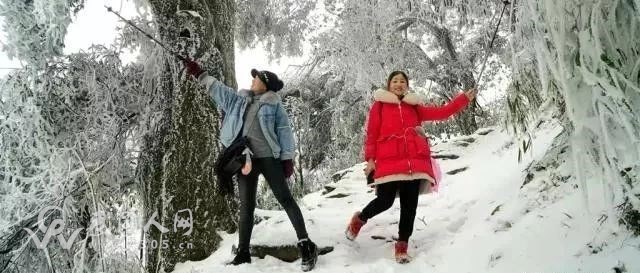 奇觀！武岡云山上的雪竟然“開花”啦！只有少數(shù)人親眼所見..