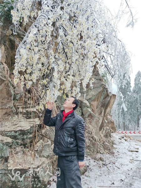 云山雾凇，从去冬腊月到春寒料峭，终于亲吻了你！