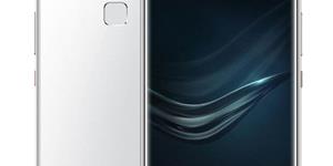 丢手机（写实）