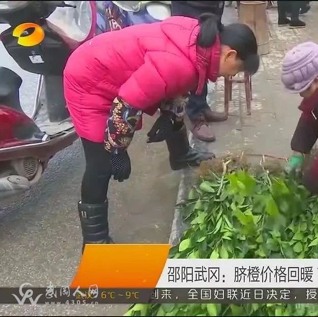 武岡這新聞竟然上了湖南新聞聯(lián)播！