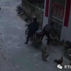 注意了！武岡近日出現(xiàn)兩名男子騎摩托車(chē)偷雞