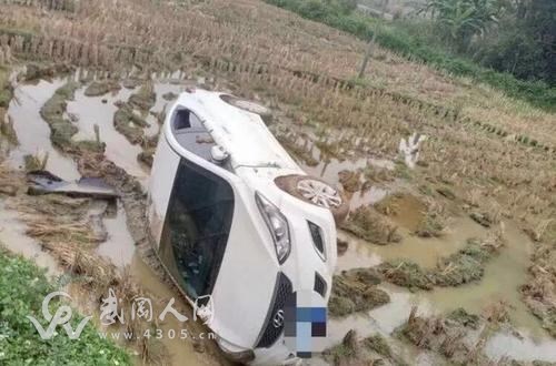 這個小伙子開車翻到田里面去了！