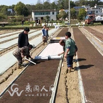 又是一年春光好，春耕備耕正當時