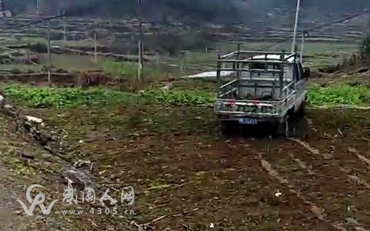 武岡這輛貨車出事了！開(kāi)到別人菜地里...