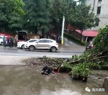 悲?。簝蓚€武岡人在路邊等車，被撞了！