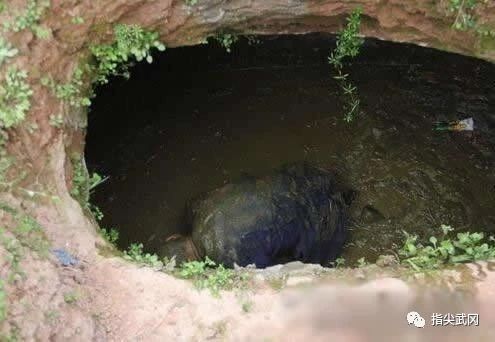 武岡一老人跌入糞坑,被民政居家養(yǎng)老平臺(tái)服務(wù)隊(duì)員救出