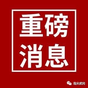 總投資9758.9億元!武岡這個項目上榜