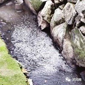 苦不堪言！武岡這里養(yǎng)了八百多頭豬，豬糞到處亂排