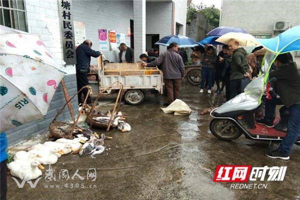 武岡市龍溪鎮(zhèn)貧困戶(hù)農(nóng)副產(chǎn)品微型“農(nóng)博會(huì)”助力脫貧攻堅(jiān)