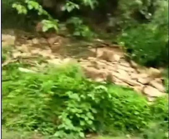 注意！武岡馬坪鄉(xiāng)寶花至荊竹鋪石山路口有出現(xiàn)山體滑坡