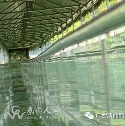 恐怖！武岡人快看，廣西玻璃滑道出事了！1死6傷！多名游客沖破護(hù)欄掉下山坡