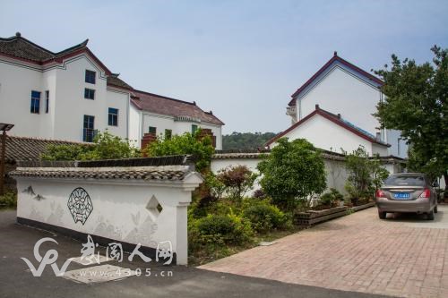 武岡文坪鎮(zhèn)種這個(gè)，種出千萬(wàn)財(cái)富！