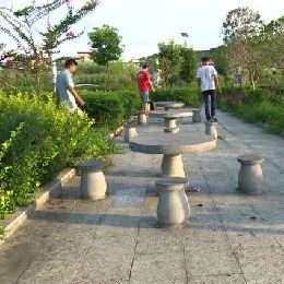 90后小伙回鄉(xiāng)辦扶貧工廠