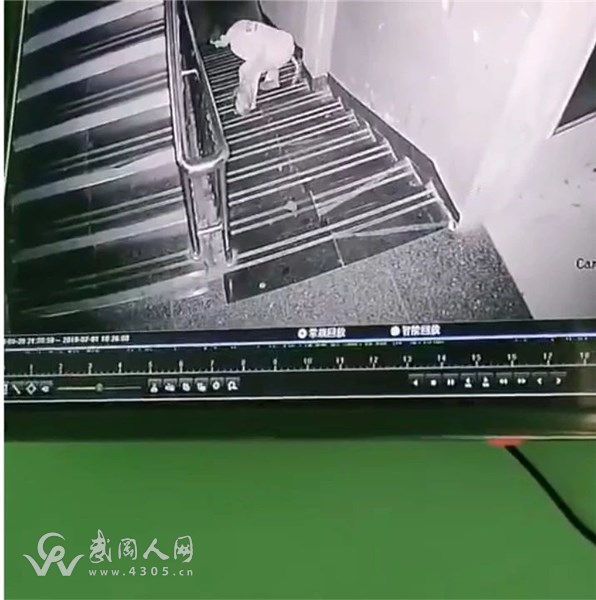 武岡這男的太嚇人了,在樓道里脫了褲子...