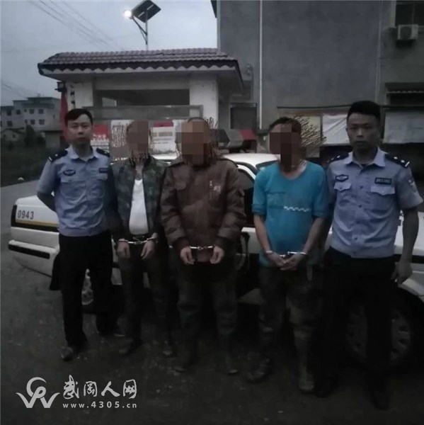 武岡三名男子在城步，被刑拘！