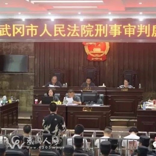 武冈“风云会”被判了,最高被判十二年……