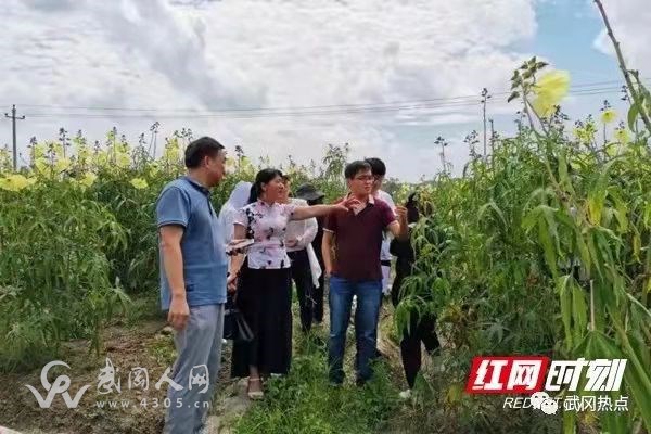 武岡文坪鎮(zhèn)的這個女老板好樣的,帶著鄉(xiāng)親們發(fā)財了!