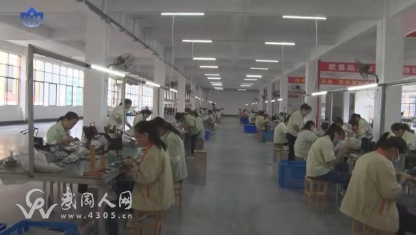 邵陽市政協(xié)委員到武岡開展“發(fā)展實體經(jīng)濟，承接產(chǎn)業(yè)轉移”專題視察