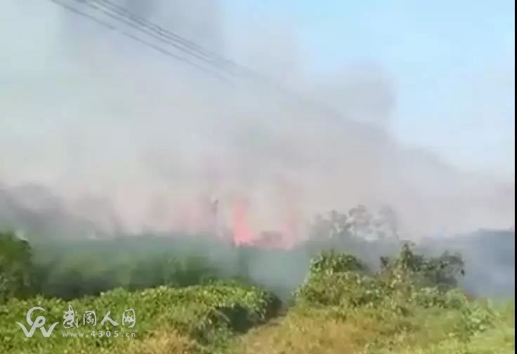 武岡這發(fā)生火災(zāi)濃煙滾滾！燒了很久！