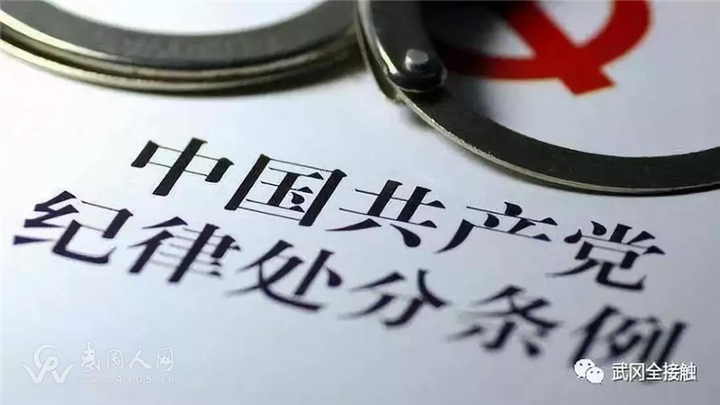 武岡紀委追繳違紀資金 337萬元,查處干部492人…