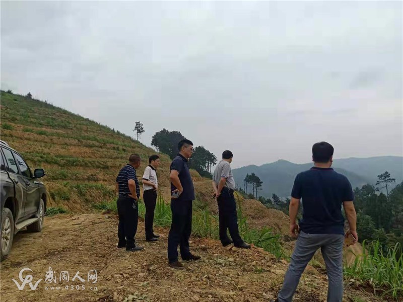 厉害了！武冈邓家铺这家养殖场的老板