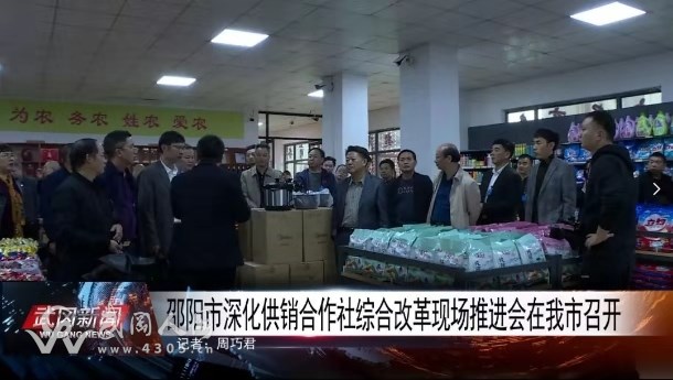 邵阳市深化供销合作社综合改革现场推进会在武冈召开