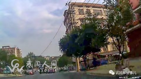 武岡出現(xiàn)“采花大盜”,被逮個(gè)正著……